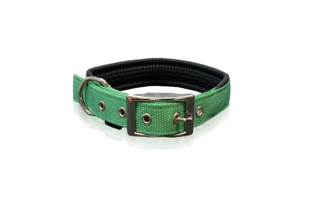 Εικόνα της Κολάρo Neoprene Green XLarge 2.5X55CM