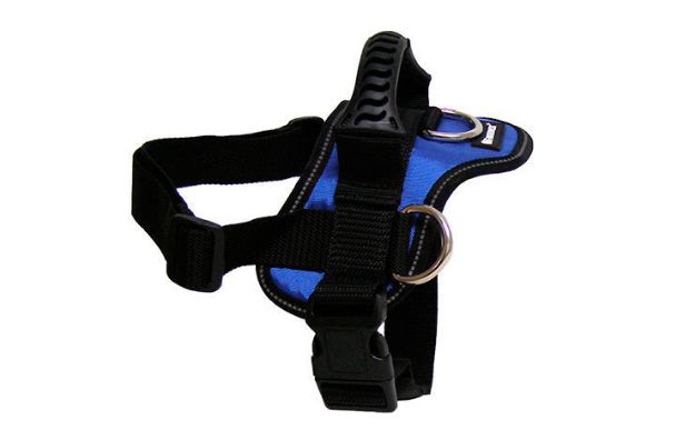 Εικόνα της Goget Harness Blue Small  65-80cm