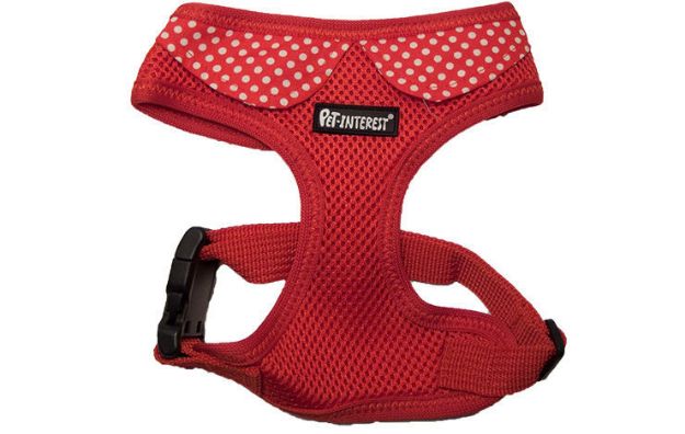 Εικόνα της Mesh Harness Red and Corllar Small