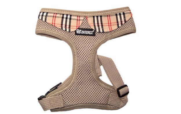 Εικόνα της Mesh Harness Beige and Collar Small