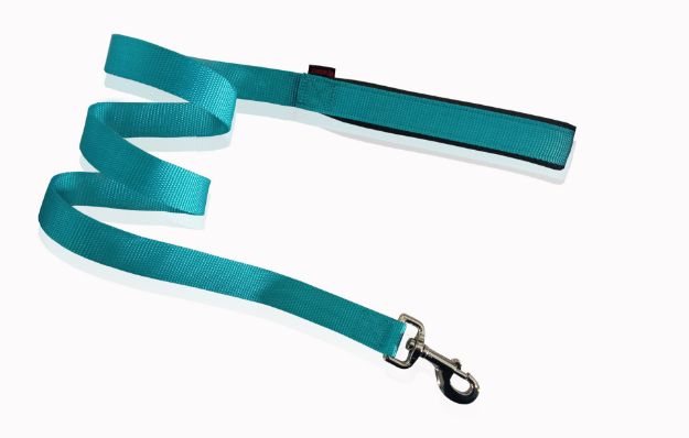 Εικόνα της Leash Neoprene Handle Fl.Blue Small  1.5X120CM