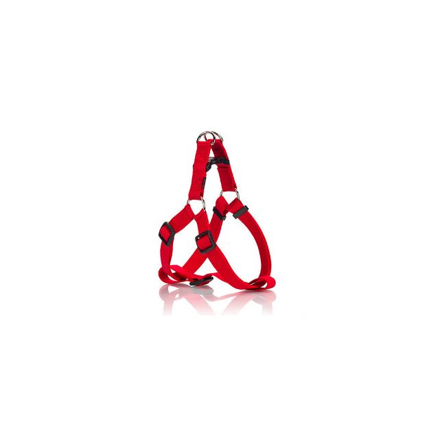 Εικόνα της Dog plain A harness red medium