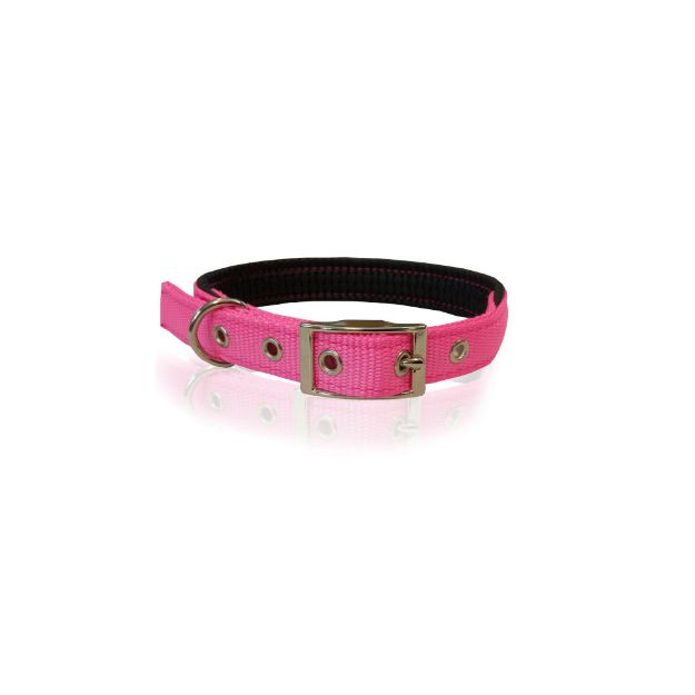 Εικόνα της Collar neoprene metal buc hot pink 