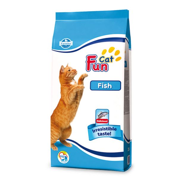 Εικόνα της Cat Fun Fish 20kg